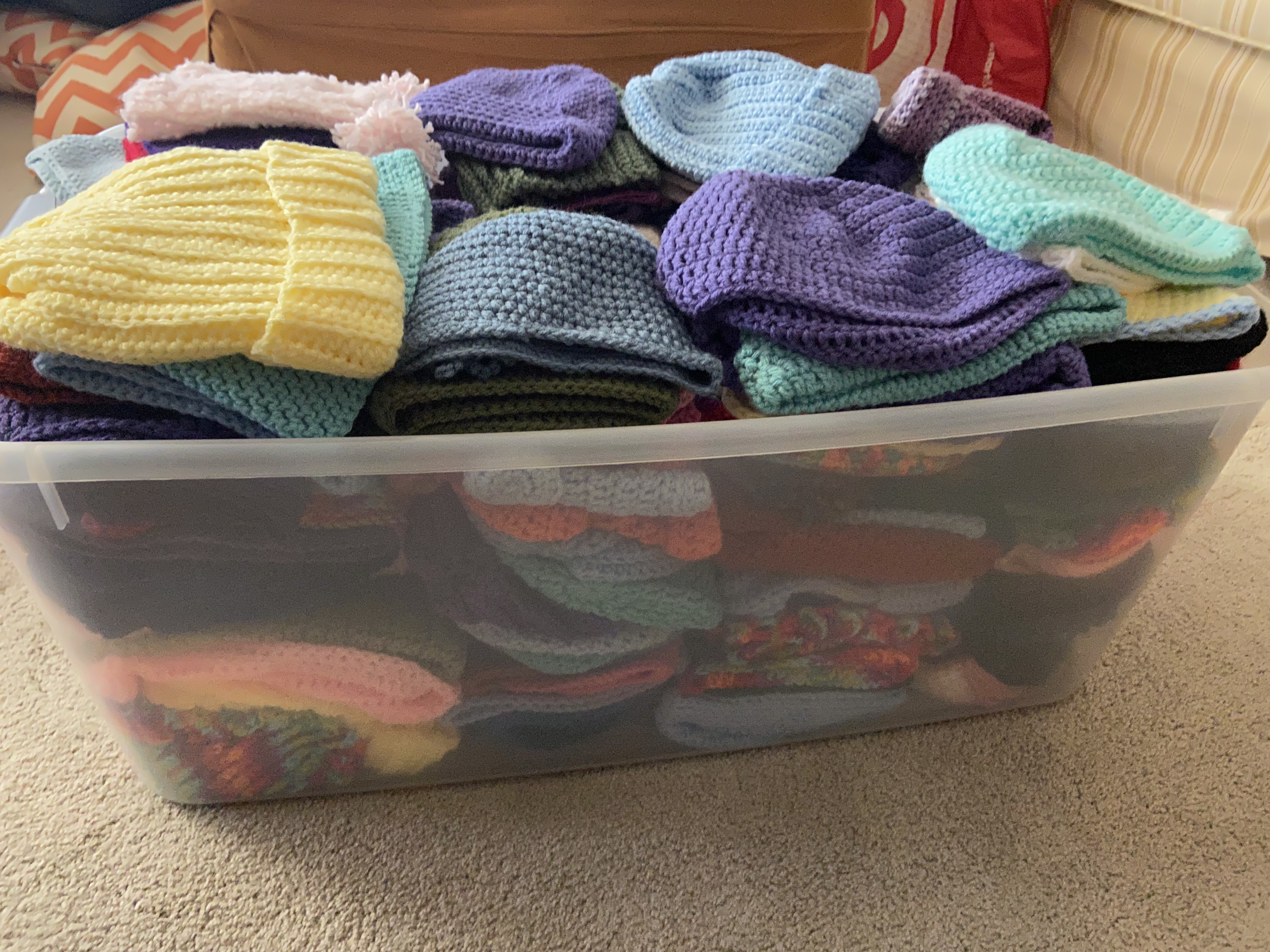 beanies made in fall 2022